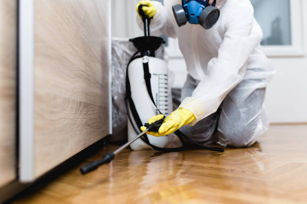Best Pest Removal Services  in Farmer City, IL