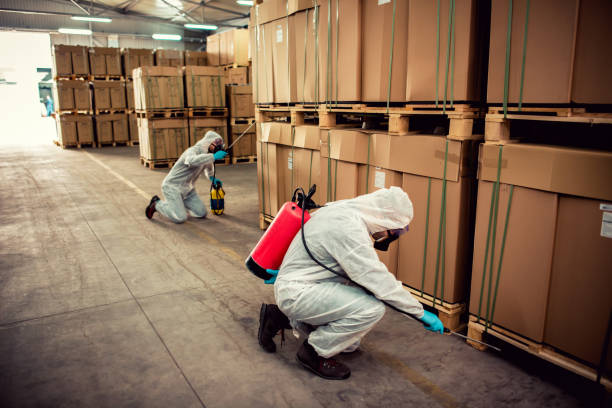 Best Wasp Removal Services  in Farmer City, IL