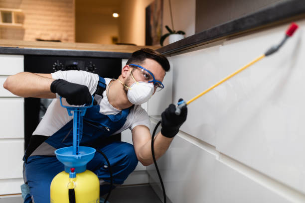 Best Cockroach Control Services  in Farmer City, IL