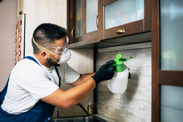 Best Emergency Pest Control  in Farmer City, IL