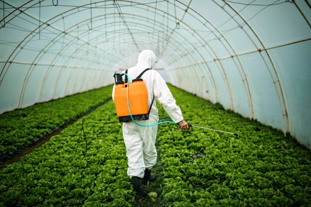 Best Affordable Pest Control Services  in Farmer City, IL