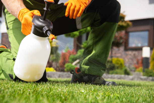 Best Local Pest Control Services  in Farmer City, IL