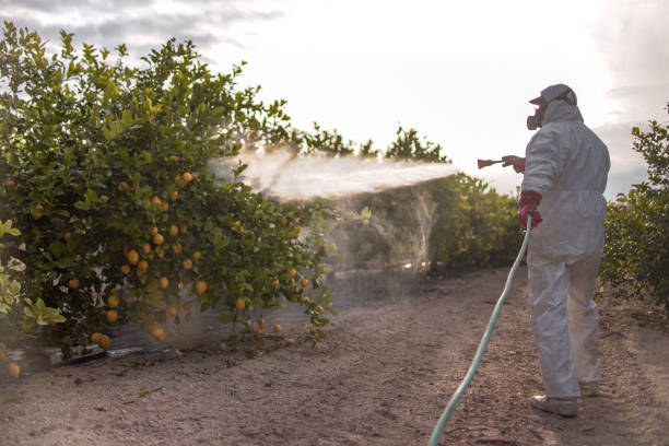 Best Mosquito Control Services  in Farmer City, IL