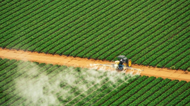  Farmer City, IL Pest Control Pros