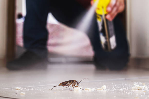 Best Commercial Pest Control Services  in Farmer City, IL
