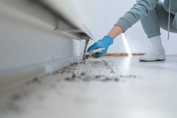 Best Pest Prevention Services  in Farmer City, IL